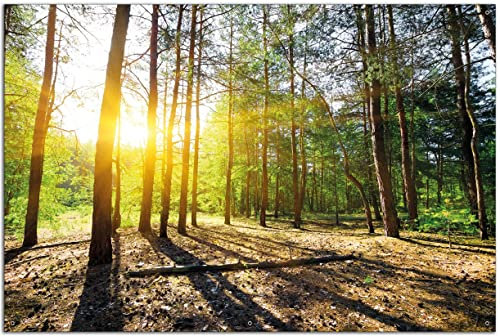 Wallario Outdoor-Poster für Garten oder Balkon Sonnenstrahlen tief hinter dem Wald, Motivbanner Größe: ca. 60 x 90 cm, Outdoor-Bild