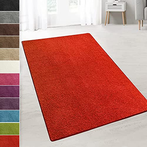 casa pura Teppich Wohnzimmer Rot Flauschiger Teppich 66x100cm Läufer, weicher Wohnteppich Deko für Schlafzimmer, Kinderzimmer, Flur mit antirutsch Unterseite, Shaggy Hochfloor Barcelona