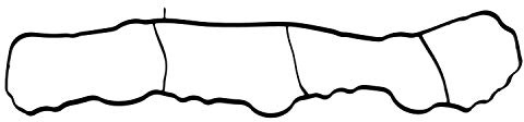 Febi Bilstein 102391 Seals