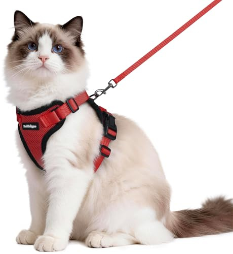 rabbitgoo Cat Harness and Lead Set, Escape Proof Vest, Red | Soft Breathable Mesh, Adjustable Fit, Snap Buckles, Reflective Strips, with 1.5m Lead for Medium to Large Cats Walks, M