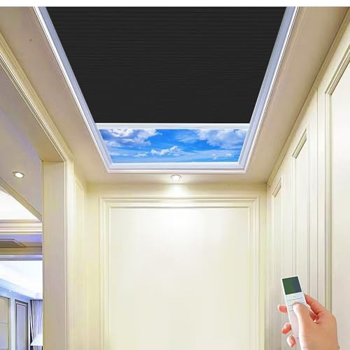 TIPIACE Rechargeable Motorized Skylight Blinds (Full Blackout-Black 93021N)