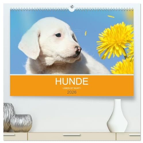 HUNDE LEBEN IST BUNT (hochwertiger Premium Wandkalender 2026 DIN A2 quer), Kunstdruck in Hochglanz: HUNDE LEBEN IST BUNT - Fantasymotive für Hundefreunde (CALVENDO Tiere)