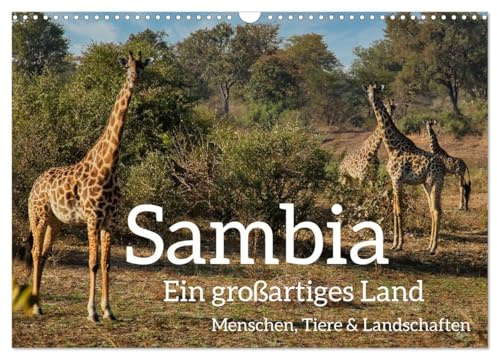 Sambia - ein großartiges Land (Wandkalender 2026 DIN A3 quer), CALVENDO Monatskalender: Sambia ist ein großartiges, touristisch noch wenig ... Tieren und Landschaften. (CALVENDO Orte)