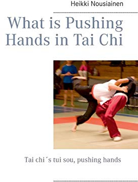 What is Pushing Hands in Tai Chi