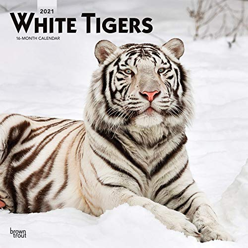 White Tigers 2021 Calendar