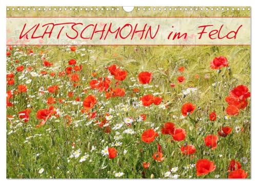 Klatschmohn im Feld (Wandkalender 2025 DIN A3 quer), CALVENDO Monatskalender: Ein Sommerkalender für das ganze Jahr (CALVENDO Natur)