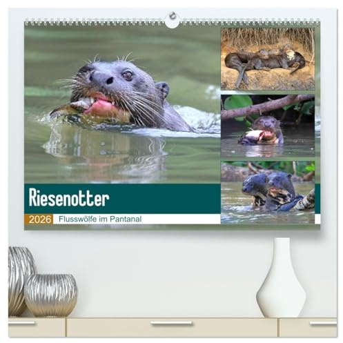 Riesenotter - Flusswölfe im Pantanal (hochwertiger Premium Wandkalender 2026 DIN A2 quer), Kunstdruck in Hochglanz: Riesenotter - erfolgreiche Jäger (CALVENDO Tiere)