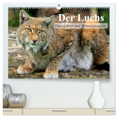 Der Luchs. Pinselohren und Bernsteinaugen (hochwertiger Premium Wandkalender 2026 DIN A2 quer), Kunstdruck in Hochglanz: Europas größte und wunderschöne Raubkatze (CALVENDO Tiere)
