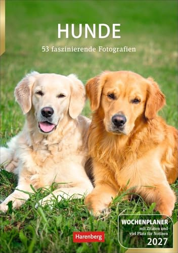 Hunde Wochenplaner 2027 - 53 faszinierende Fotografien: Ganz viel Hundeliebe und Platz für Eintragungen in einem Wochenkalender im Format 25 x 35,5 cm. Praktischer Kalender für Hundefans