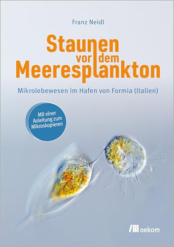 Staunen vor dem Meeresplankton: Mikrolebewesen im Hafen von Formia (Italien)