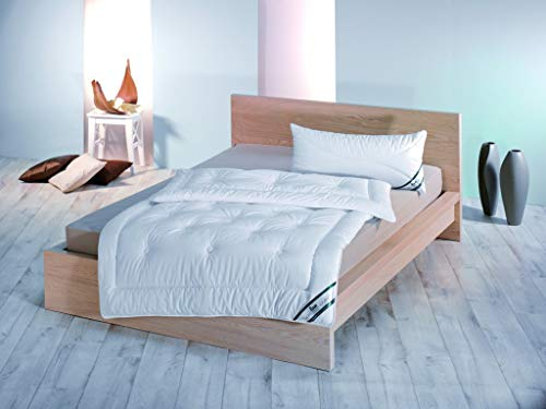 f.a.n. Frankenstolz Faserdecke Viejahreszeiten-Steppbett First Class (Größe: 155 x 220 cm)