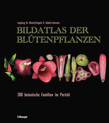 Bildatlas der Blütenpflanzen: 200 botanische Familien im Porträt