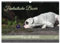Fantastische Boxer - Sieger der Herzen (Wandkalender 2025 DIN A3 quer), CALVENDO Monatskalender: Bezaubernde Boxer, neugierige und charmante Clowns. (CALVENDO Tiere)