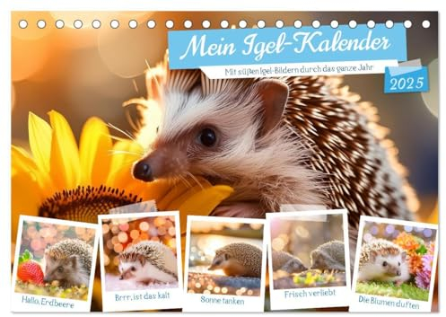 Mein Igel-Kalender (Tischkalender 2025 DIN A5 quer), CALVENDO Monatskalender