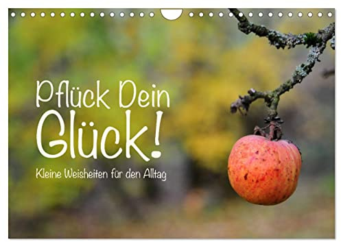 Pflück Dein Glück – Kleine Weisheiten für den Alltag (Wandkalender 2026 DIN A4 quer), CALVENDO Monatskalender: Kleine Weisheiten als Lebenshilfe für den Alltag (CALVENDO Gesundheit)