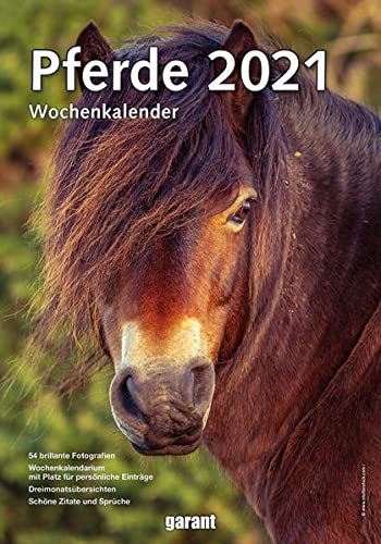 Wochenkalender Pferde 2023