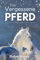 Das vergessene Pferd: Die Connemara Abenteuer-Serie (Die Connemara-Pony-Abenteuerserie, Band 1)