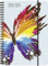 Brunnen 1072985049 Schülerkalender Schmetterling, 2018/2019