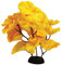 Yellow Red Silk Like Plant 20cm by KenKoi