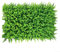Hierba verde, 40 x 60 cm, paneles de pared artificiales de césped artificial de césped verde cuadrado de plástico para decoración de pared del hogar