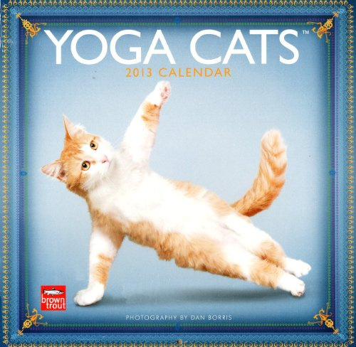 Yoga Cats 2013: Joga Katzen (Wall-Kalender)
