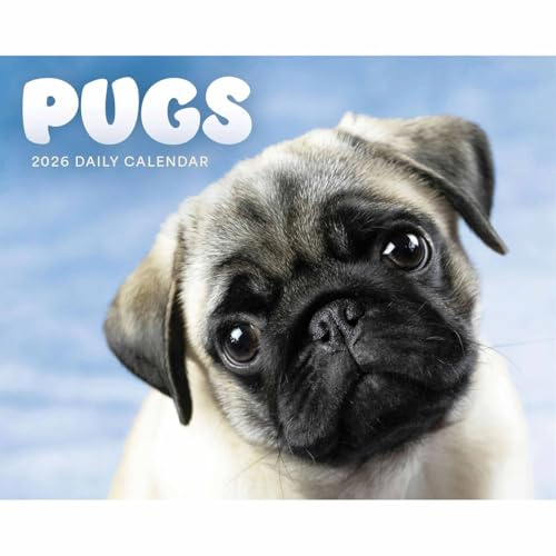 Mops Tischkalender 2026