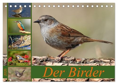 Der Birder (Tischkalender 2026 DIN A5 quer), CALVENDO Monatskalender: Ein schönes Geschenk für alle Vogelliebhaber (CALVENDO Tiere)