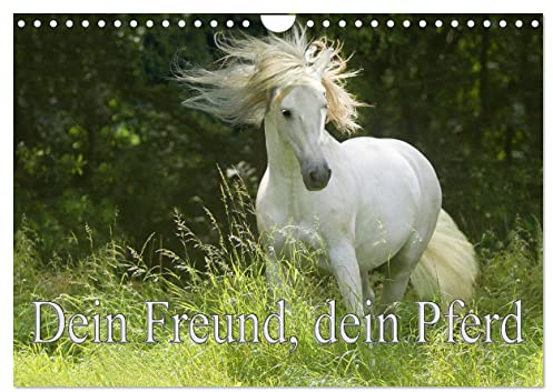 Dein Freund, dein Pferd (Wandkalender 2026 DIN A4 quer), CALVENDO Monatskalender: Zum richtigem Zeitpunkt mit dem Besitzer des Pferdes auf der Koppel zu sein. (CALVENDO Tiere)