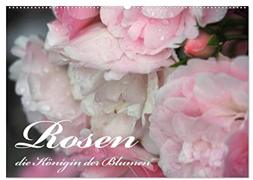 Rosen, die Königin der Blumen (Wandkalender 2026 DIN A2 quer), CALVENDO Monatskalender: Eine Hommage auf die Rose. Sagen Sie es durch die Blume und ... mit der einzigarten Rosen. (CALVENDO Natur)