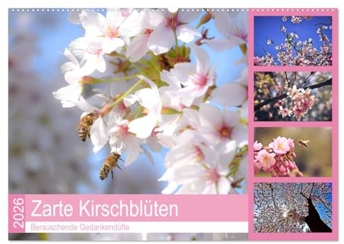 Zarte Kirschblüten - Berauschende Gedankendüfte (Wandkalender 2026 DIN A2 quer), CALVENDO Monatskalender: Lichtvolle Momente zur Kirschblütenzeit (CALVENDO Natur)