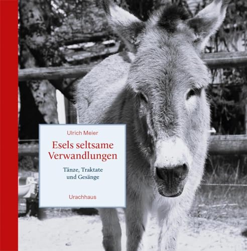 Esels seltsame Verwandlungen: Tänze, Traktate und Gesänge