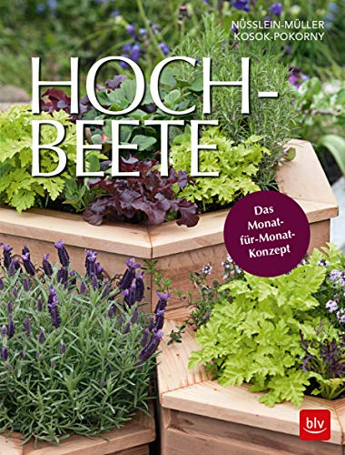 BLV Hochbeete: Das Monat-für-Monat-Konzept (Garten)