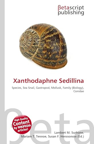Xanthodaphne Sedillina: Species, Sea Snail, Gastropod, Mollusk, Family (Biology), Conidae