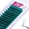 Extension De Cils En Soie 0.07mm D Curl 8-14 Mix Bouquet Volume Russe Soie éventails Faciles 2D 3D 4D 6D 8D 10D Naturel Cluster Professionnel(vert 0.07-D-8-14 MIX)