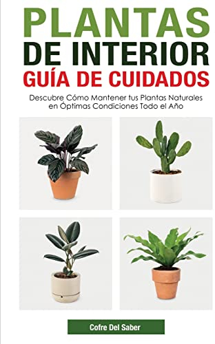 Plantas de Interior - Guía de Cuidados: Descubre Cómo Mantener tus Plantas Naturales en Óptimas Condiciones Todo el Año