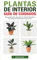Plantas de Interior - Guía de Cuidados: Descubre Cómo Mantener tus Plantas Naturales en Óptimas Condiciones Todo el Año