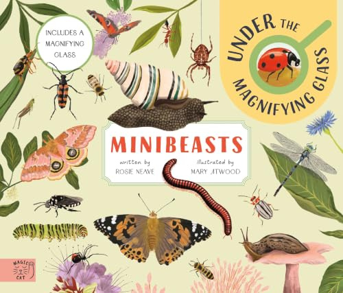 Minibeasts: Under the Magnifying Glass