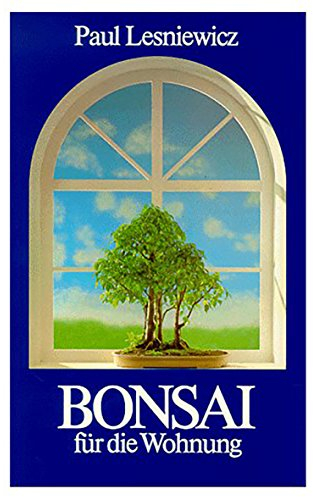 Bonsai für die Wohnung