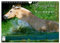 Fjordpferde - Norweger (Wandkalender 2025 DIN A4 quer), CALVENDO Monatskalender: Kalender Fjordpferde / Norweger (CALVENDO Tiere)