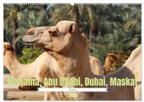 Orient - Manama, Abu Dhabi, Dubai, Maskat (Wandkalender 2026 DIN A2 quer), CALVENDO Monatskalender: Impressionen aus dem Orient (CALVENDO Orte)
