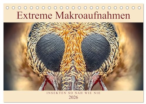 Extreme Makroaufnahmen - Insekten so nah wie nie (Tischkalender 2026 DIN A5 quer), CALVENDO Monatskalender: Erleben Sie Fliegen, Ameisen und andere ... erstaunlicher Vergrößerung! (CALVENDO Tiere)