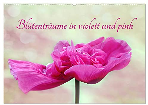 Blütenträume in violett und pink (Wandkalender 2026 DIN A2 quer), CALVENDO Monatskalender: Romantische Blumenmotive in harmonischen Farben (CALVENDO Natur)