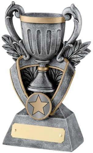 SilverTrophy: Silver Trophy Achievement Award Cup, Sports, Corporate, School, Academic, Kids, Motivation, Success, Winners, Champion, Engraving Plate Included, Silver & Gold Finish.