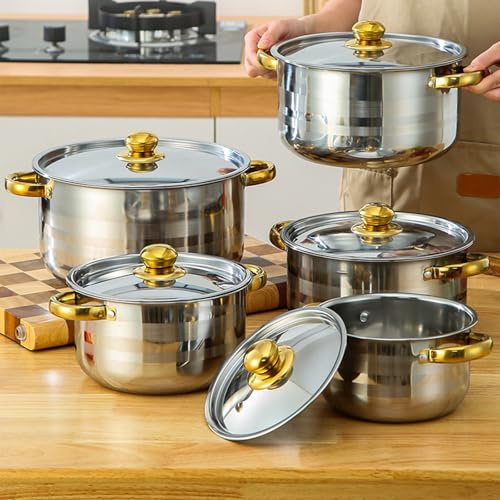Set di pentole in acciaio inox, set di pentole in acciaio inox con due manici, set di 10 pentole con coperchi, per fornelli a gas, elettrici, a induzione, in vetroceramica e alogeni