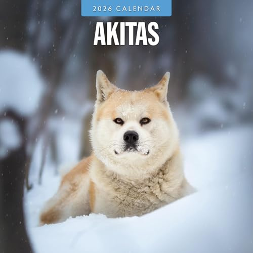 Akitas – Akita 2026 – 16-Monatskalender: Original Red Robin Publishing Ltd-Kalender [Mehrsprachig] [Kalender] (Wall-Kalender)