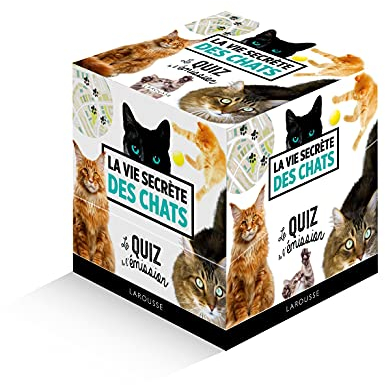 VIE SECRETE des CHATS - le grand quiz: Le quiz de l'émission