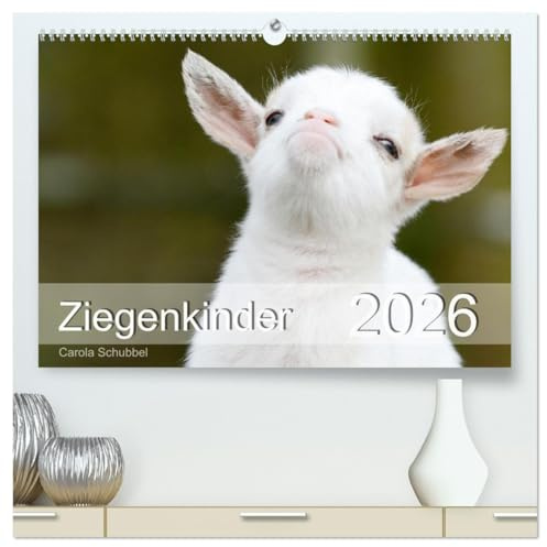 Ziegenkinder (hochwertiger Premium Wandkalender 2026 DIN A2 quer), Kunstdruck in Hochglanz: Kleine, niedliche Ziegen beim Spielen und Toben (CALVENDO Tiere)