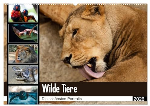 Wilde Tiere - Die schönsten Portraits (Wandkalender 2026 DIN A2 quer), CALVENDO Monatskalender: Die schönsten Tierportaits für das ganze Jahr (CALVENDO Tiere)