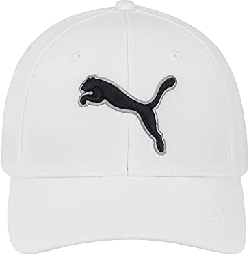 PUMA Unisex-Erwachsene Evercat Dillon 2.0 Stretch Cap Baseballkappe, weiß/grau, L/XL