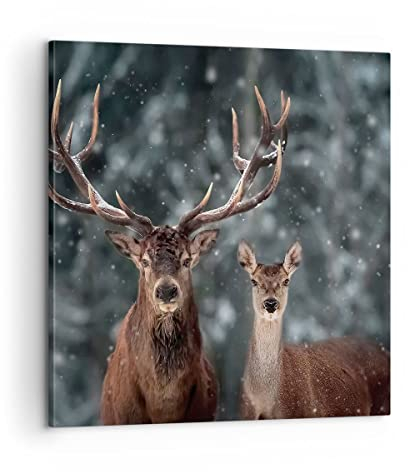 Bilder auf Leinwand Hirsch Rentier Reh Leinwandbild mit Rahmen 60x60cm Wandbilder Dekoration Wohnzimmer Schlafzimmer Küche Deko Groß Wanddeko Bild Wand Kunstdruck Art Wall Decor Canvas AC60x60-5060